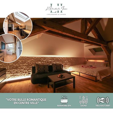 Evasion Chic, Spa Et Sauna Sous Les Toits Nancy Exteriér fotografie